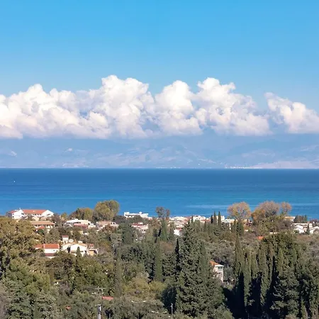 فيلة Red Queen *