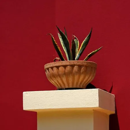 Red Queen Villa Sfakerá